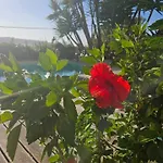 וילה Obidos Lagoon Refuge *