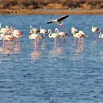 וילה Obidos Lagoon Refuge