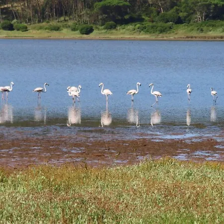 Obidos Lagoon Refuge