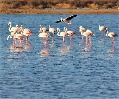 Βίλα Obidos Lagoon Refuge