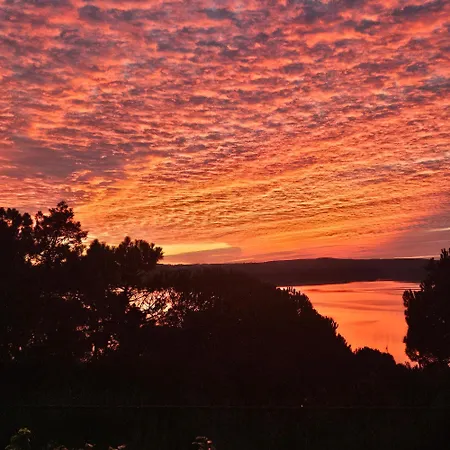 Obidos Lagoon Refuge
