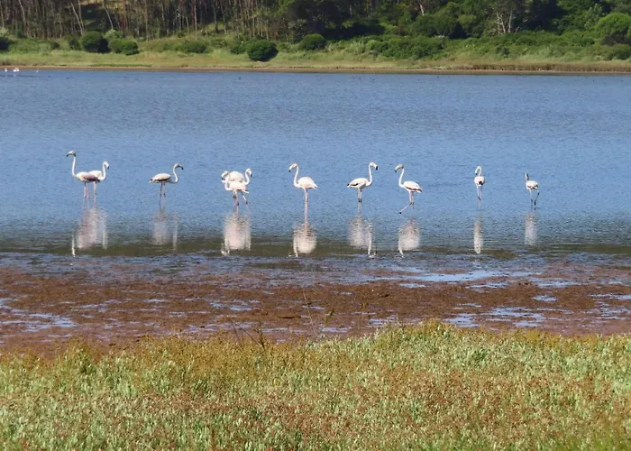 Obidos Lagoon Refuge Vila Foz do Arelho