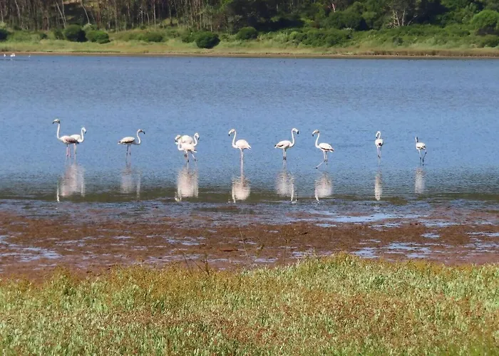 Obidos Lagoon Refuge