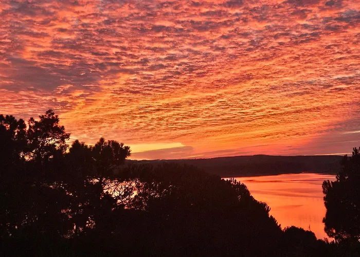 Obidos Lagoon Refuge